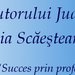 Silvia Scaesteanu - Birou Executor Judecatoresc